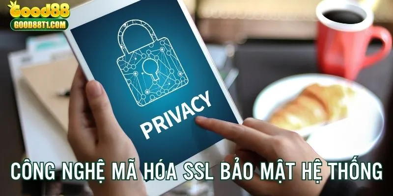 Sử dụng công nghệ mã hóa SSL vào hệ thống, tăng cường ứng dụng