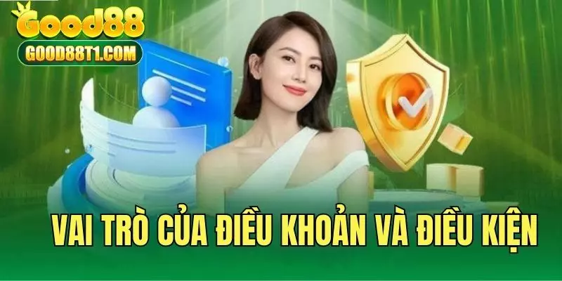 Giới thiệu vai trò của các điều kiện hợp đồng dịch vụ 